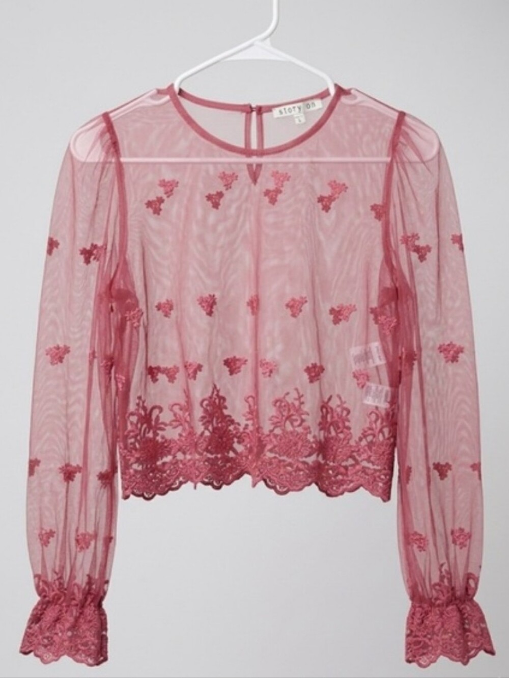 Sheer Embroidered Mesh Blouse in Dusty Rose - Picture 2 of 9